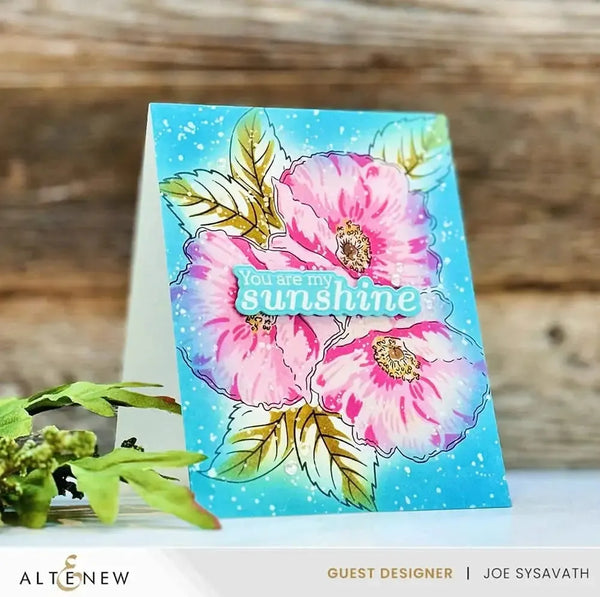 Altenew Sunny Sentiments Die Set*