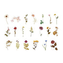 Poppy Crafts Floral Nature Sticker Pack - Dried Flowers