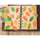 Poppy Crafts Leaves of Nature Sticker Pack - Acuminate Leaves