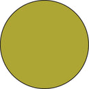 Solid green circle on a white background