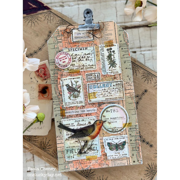 Tim Holtz - Advantus Idea-ology Double- Sided Cardstock 12"X12" 12/Pkg - Palette Collection: Orange