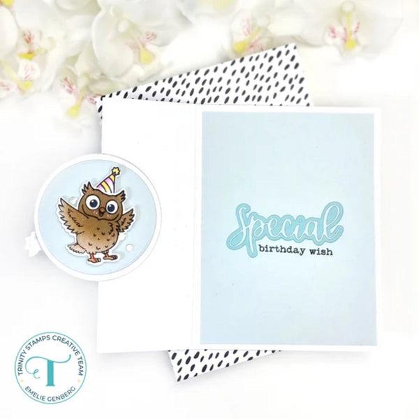 Trinity Stamps Coordinating Die Set - Hoot Hoot Hooray