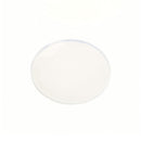 White circular object on a white background