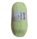 Wendy Wools Supreme DK Acrylic Yarn 100g - Apple*