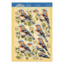 Hunkydory Beautiful Birds Deco-Large Set - Charming Chaffinch