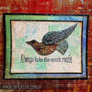 Tim Holtz Stampers Anonymous - Mesh & Linen