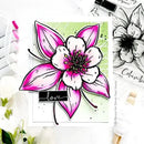 Colorado Craft Company Metal Die Set Columbine Wishing-Big & Bold*