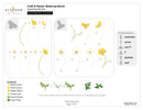Altenew Craft-A-Flower: Buttercup Bunch Layering Die Set