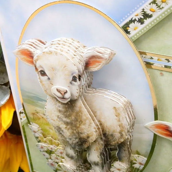 Hunkydory Spring is Here Deco-Large Set - A Baa-rilliant Birthday