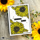 Visible Image 4" x 6" Stamp Set - Sunflower Dreams