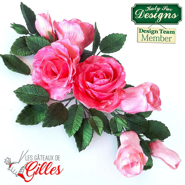 Pink roses with green leaves on a white background, featuring 'Kathy Sue Designs' and 'Les Gâteaux de Gilles' logos.