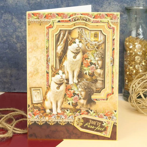 Hunkydory You're Purr-fect Luxury Topper Set