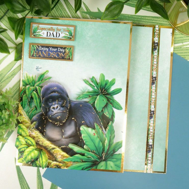 Hunkydory Into the Wild Deco-Large Set - Go Ape!*