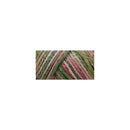 Caron Simply Soft Paints Yarn Rose Garden