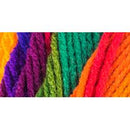 Red Heart Super Saver Yarn - Favourite Stripe 141g*