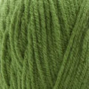 Premier Yarns Basix Yarn - Fern 200g