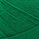Lion Brand Pound Of Love Yarn - Wintergreen 454g