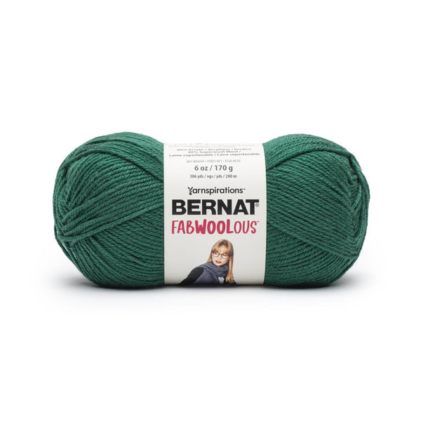 Bernat Fabwoolous Yarn - Pine*