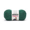 Bernat Fabwoolous Yarn - Pine*