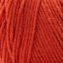 Premier Basix Yarn - Sweet Potato