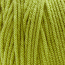 Premier Basix Yarn - Lime