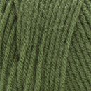Premier Basix Yarn - Spruce