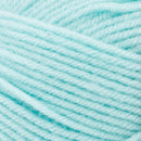 Premier Yarns Basix DK Yarn - Mint 100g