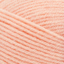 Premier Yarns Basix DK Yarn - Carnation 100g