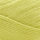 Premier Yarns Basix DK Yarn - Lime