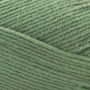 Premier Yarns Basix DK Yarn - Fern