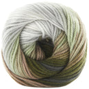 Premier Yarns Colourfusion DK Yarn - Woodland 100g