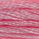 DMC Stranded Cotton 8m - 151*