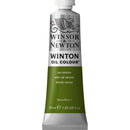 Winsor & Newton Winton Oil Colour 37ml - Sap Green