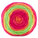 Premier Sweet Roll Vivid Yarn - Neon Signs