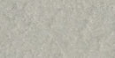 Bazzill Fourz Cardstock 12"X12" - Zinc/Grasscloth*