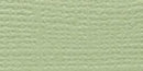 Bazzill Fourz Cardstock 12in x 12in - Spring Breeze/Grasscloth*