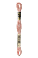 DMC Stranded Cotton 8m - 3779*