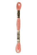 DMC Stranded Cotton 8m - 3824*