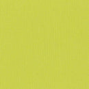 Bazzill Fourz Cardstock 12"X12" - Granny Smith/Grasscloth*