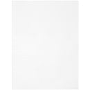 Cousin Perforated Plastic Canvas 14 Count 8.5"X11" 2 pack - White*