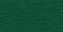 Bazzill Mono Cardstock 12in x 12in - Classic Green/Canvas*