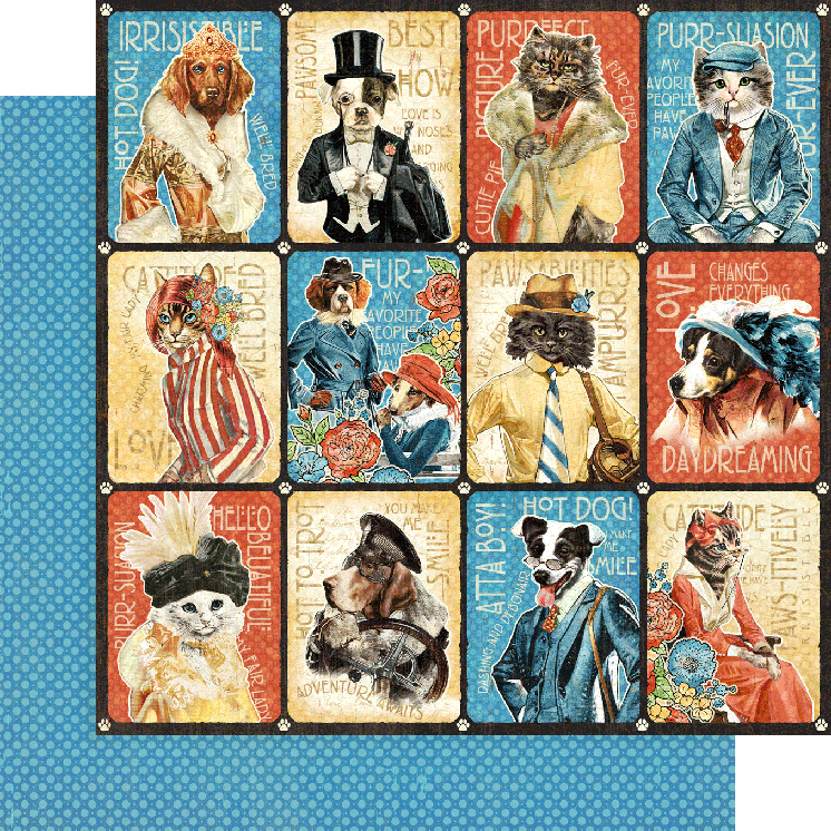 Graphic 45 Collection Pack 12inX12in - Well Groomed*