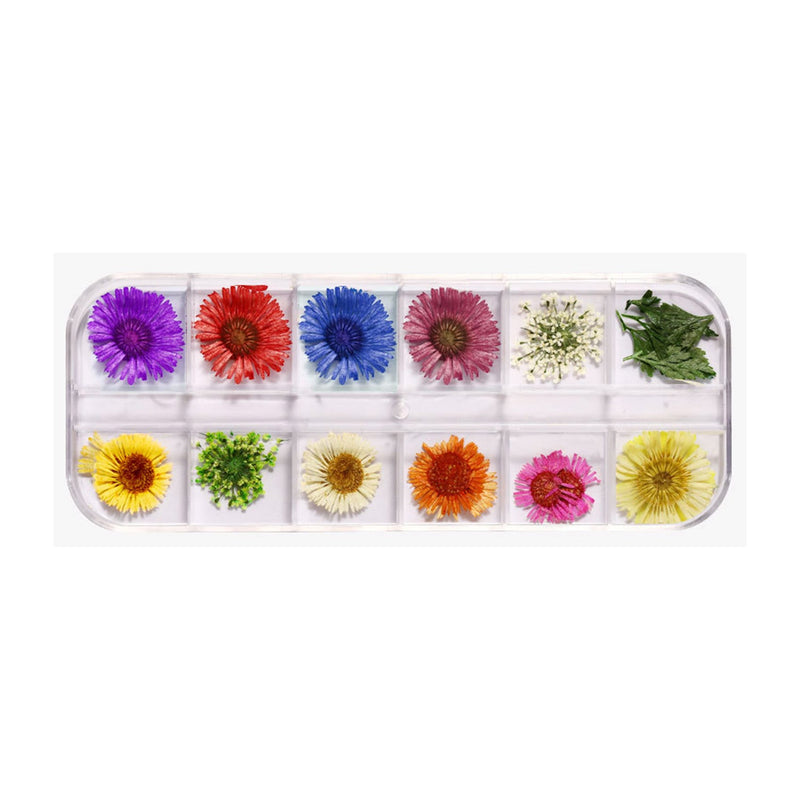 Poppy Crafts Dried Flowers Kit