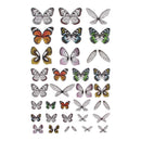 Tim Holtz - Idea-Ology Transparent Acetate Wings 72 pack*