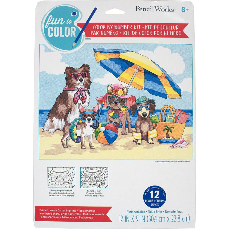 Pencil Works Colour By Number Kit 12"X9" - Summer Paws*