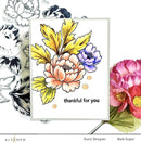 Altenew Book Engravings Simple Colouring Stencil*