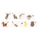 Bree Merryn Bumble & Buddies - A6 Toppers*