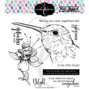 Colorado Craft Company Clear Stamps 6in x 6in - Hummingbird Delight-Big & Bold*