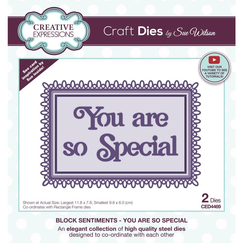 Creative Expressions Craft Dies By Sue Wilson - Block Sentiments - You Are So Special*