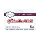 Creative Expressions Craft Dies By Sue Wilson  - Mini Shadow Sentiments - You're Too Kind*